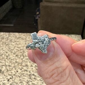 Texas Landscape Ring